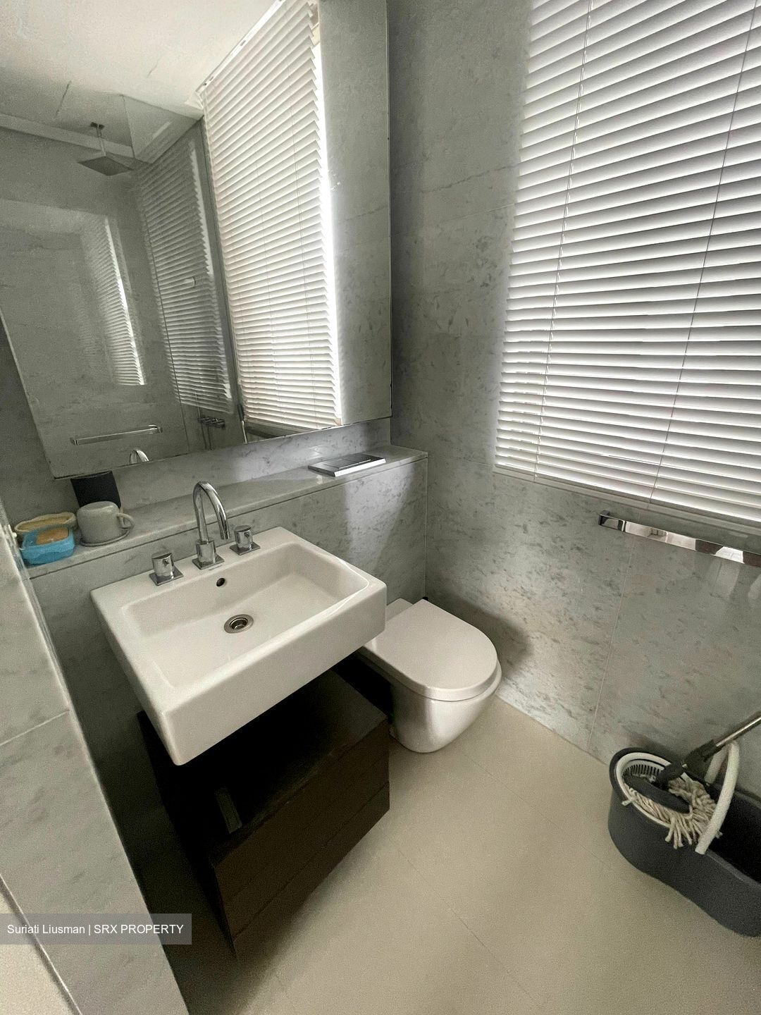 Scotts Square (D9), Apartment #521198041